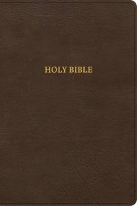 CSB Grace Bible, Brown Leathertouch