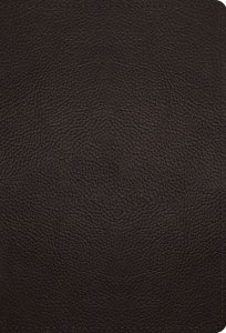 ESV Large Print Compact Bible, Red Letter (Buffalo Leather, Deep Brown)