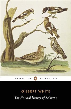 Natural History Of Selbourne