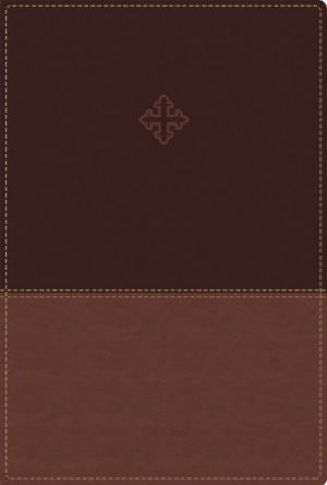 Amplified Study Bible, Imitation Leather, Brown