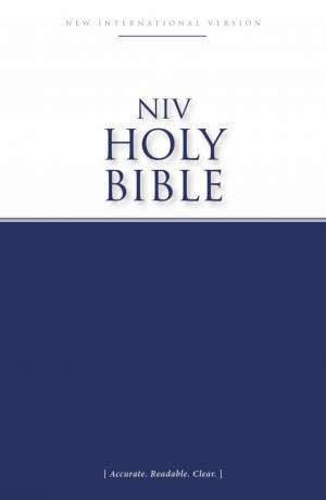 NIV Economy Bible