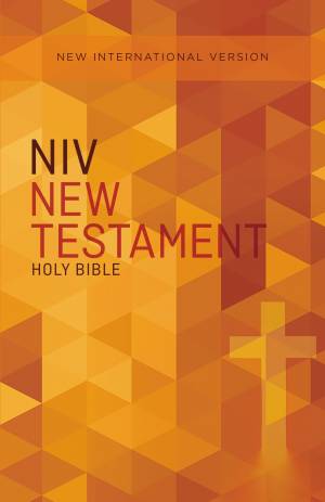 Outreach New Testament-NIV