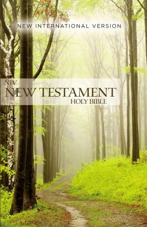 Outreach New Testament-NIV