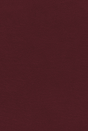 NIV, KJV, NASB, Amplified, Parallel Bible, Bonded Leather, Burgundy