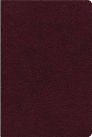 NIV, Thinline Reference Bible (Deep Study at a Portable Size), Bonded Leather, Burgundy, Red Letter, Thumb Indexed, Comfort Print