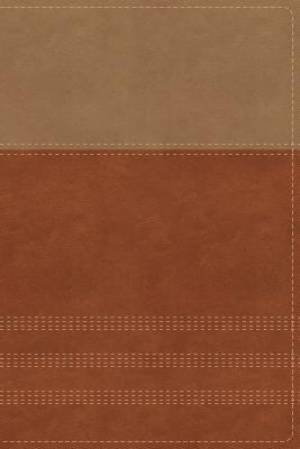 NIV, Biblical Theology Study Bible (Trace the Themes of Scripture), Leathersoft, Tan/Brown, Thumb Indexed, Comfort Print