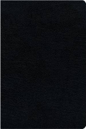 NIV, Biblical Theology Study Bible (Trace the Themes of Scripture), Bonded Leather, Black, Thumb Indexed, Comfort Print