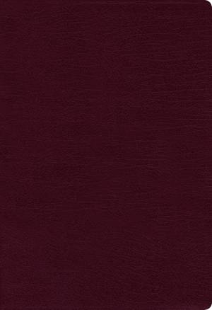 NASB, Thinline Bible, Large Print, Bonded Leather, Burgundy, Red Letter, 1995 Text, Comfort Print