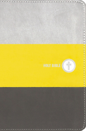 NIV, Boys' Backpack Bible, Compact, Leathersoft, Yellow/Gray, Red Letter, Comfort Print