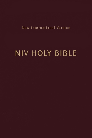 NIV, Holy Bible, Compact, Paperback, Burgundy, Comfort Print