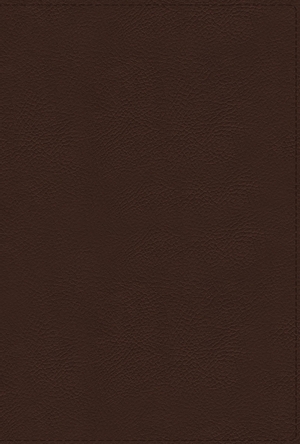 NRSVue, Holy Bible with Apocrypha, Leathersoft, Brown, Comfort Print