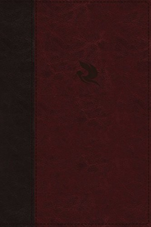 NKJV, Spirit-Filled Life Bible, Third Edition, Leathersoft, Burgundy, Red Letter, Comfort Print