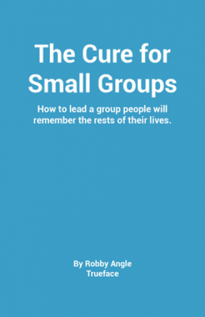 The Cure for Groups: How to Lead a Small Group People Will Talk about the Rest of Their Lives