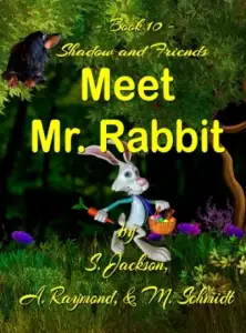 Shadow and Friends  Meet Mr. Rabbit