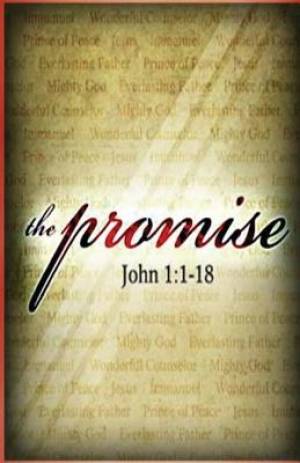 The Promise: The Secret Revealed