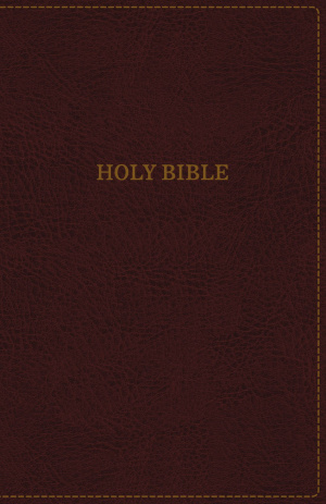 KJV, Thinline Bible, Standard Print, Imitation Leather, Burgundy, Red Letter Edition