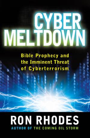 Cyber Meltdown [eBook]