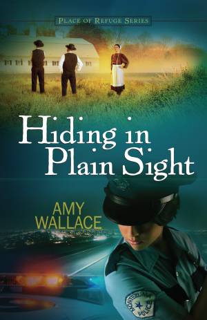 Hiding in Plain Sight  [eBook]