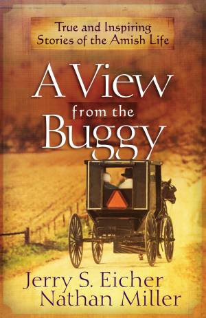 A View from the Buggy [eBook]