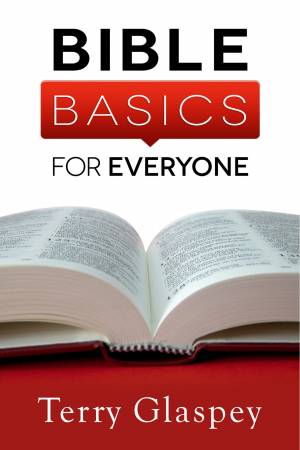 Bible Basics for Everyone [eBook]