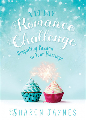 14-Day Romance Challenge, A