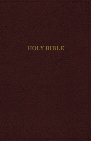 KJV, Deluxe Thinline Reference Bible, Imitation Leather, Burgundy, Red Letter Edition