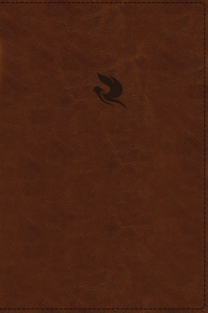 KJV, Spirit-Filled Life Bible, Third Edition, Leathersoft, Brown, Red Letter, Comfort Print