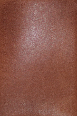 NASB, MacArthur Study Bible, 2nd Edition, Premium Goatskin Leather, Brown, Premier Collection, Comfort Print