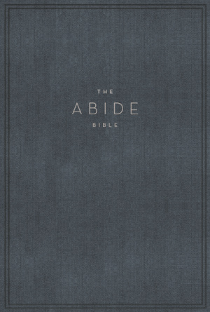 NET, Abide Bible, Cloth over Board, Blue, Comfort Print