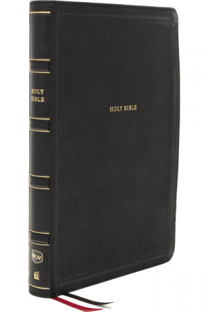 NKJV, Deluxe End-of-Verse Reference Bible, Personal Size Large Print, Leathersoft, Black, Thumb Indexed, Red Letter, Comfort Print