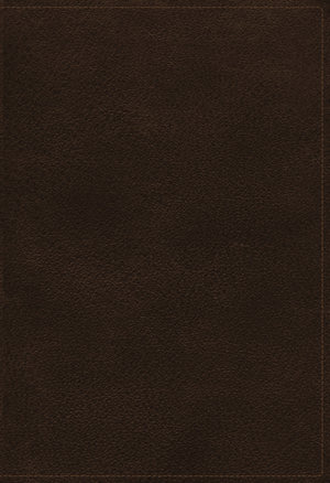 KJV Holy Bible: Large Print Verse-by-Verse with Cross References, Brown Genuine Leather, Comfort Print: King James Version (Maclaren Series)