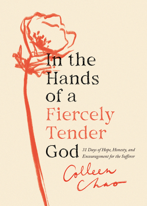 In the Hands of a Fiercely Tender God