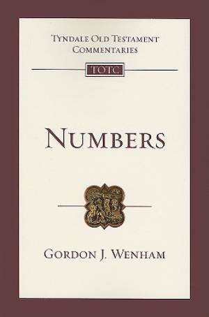 Numbers: An Introduction and Commentary Volume 4