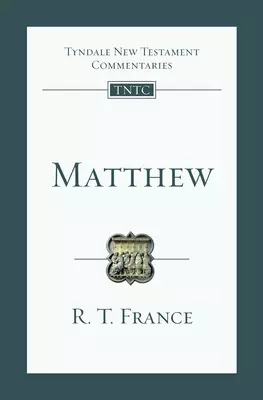 Matthew: An Introduction and Commentary Volume 1