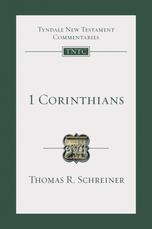 1 Corinthians: An Introduction and Commentary Volume 7