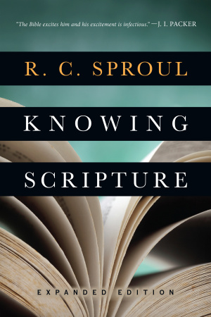 Knowing Scripture