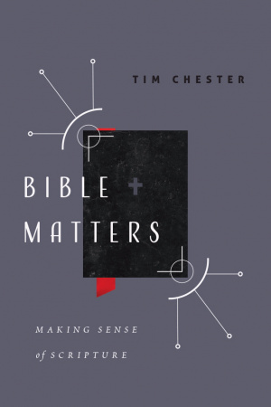 Bible Matters: Making Sense of Scripture