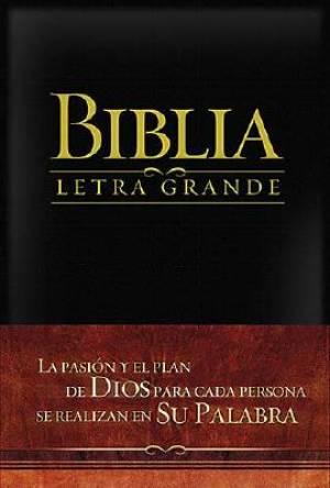 Large Print Bible