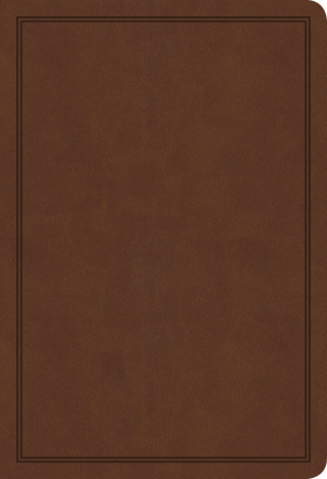 KJV Deluxe Gift Bible, Brown LeatherTouch