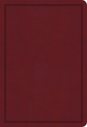 KJV Deluxe Gift Bible, Burgundy LeatherTouch