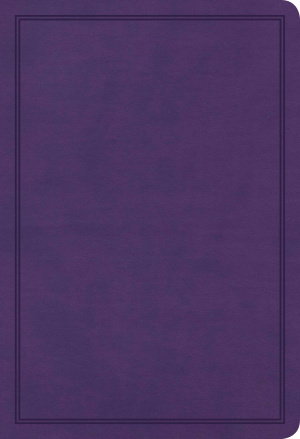 KJV Deluxe Gift Bible, Purple LeatherTouch