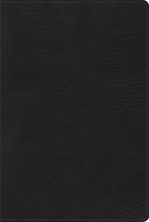 RVR 1960 Biblia de Estudio Arcoiris, negro símil piel