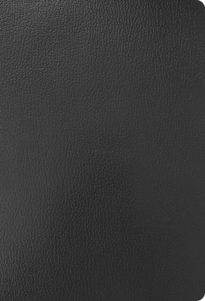 KJV Super Giant Print Reference Bible, Black Imitation Leather