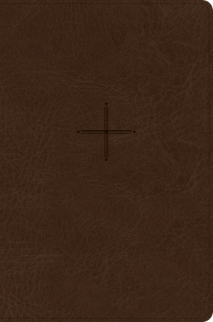 CSB Every Day with Jesus Daily Bible, Brown, Imitation Leather, Devotions, Journalling, Maps