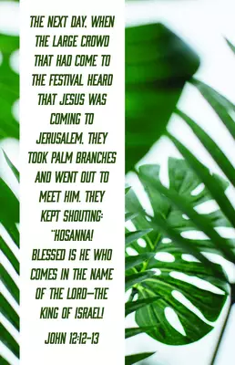 Blessed Is the King of Israel Bulletin (Pkg 100) Palm Sunday