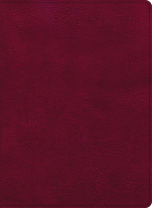 CSB Holy Land Illustrated Bible, Burgundy LeatherTouch, Indexed