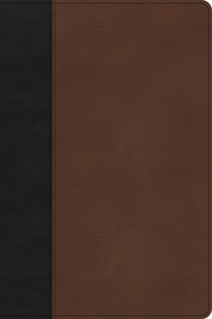 CSB Large Print Thinline Bible, Black/Brown LeatherTouch