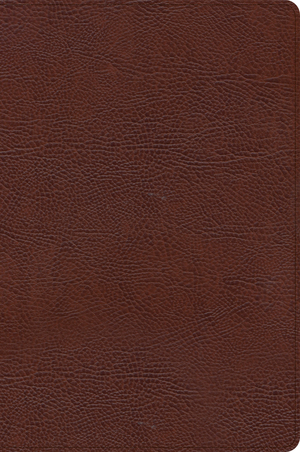 CSB Large Print Thinline Bible, Brown Bonded Leather