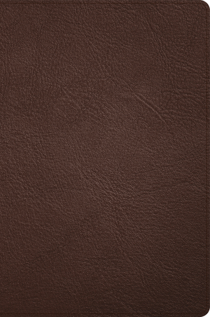 CSB Large Print Thinline Bible, Holman Handcrafted Collection, Brown Premium Goatskin