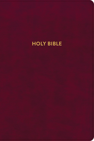 KJV Rainbow Study Bible, Burgundy LeatherTouch